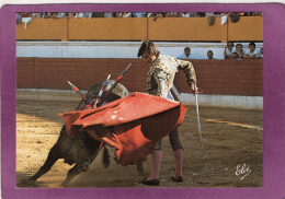 COURSE DE TOROS  Très Belle Passe De Muleta - Corrida