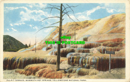 R606959 Pulpit Terrace. Mammoth Hot Springs. Yellowstone National Park. Bloom Br - World