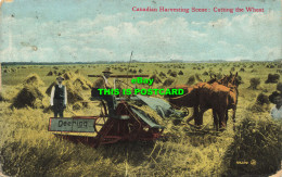 R606961 Canadian Harvesting Scene. Cutting Wheat. 105276. Valentine. 1911 - World