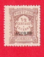ACR0524- AÇORES 1918 PORTEADO Nº 15- MH - Azoren