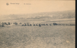 ARMEE BELGE. ==  EN TRIAILLEURS    2 SCANS - Other & Unclassified