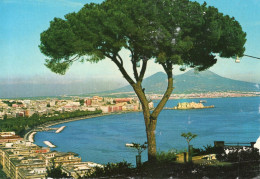 CARTOLINA ITALIA NAPOLI PANORAMA  Italy Naples Postcard ITALIEN Neapel Ansichtskarten - Napoli (Napels)