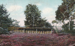 AK Lüneburger Heide - Bienenstand Bei Hanstedt - 1914  (69121) - Lüneburger Heide