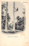 Sierra Leone - Climbing A Cabbage Tree - Publ. Unknown - Sierra Leona