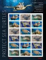 USA 2024 Protect Sea Turtles,Oilve Ridley,Animal, Imperf NDC, Full Sheet, MNH (**) - Ungebraucht