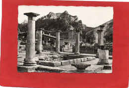 13-----SAINT-REMY-DE-PROVENCE Vestiges De L'Antique Ville De GLANUM--voir 2 Scans - Saint-Remy-de-Provence