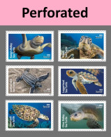 USA 2024 Protect Sea Turtles,Oilve Ridley,Animal, Perforated ,Set Of 6v, MNH (**) - Ungebraucht