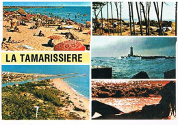 34 LA  TAMARISSIERE  1981 - Andere & Zonder Classificatie