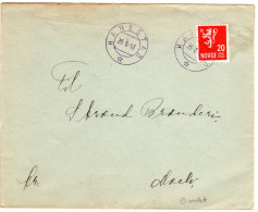 Norwegen 1941, Blauer Stpl. HANESTAD Auf Brief M. 20 öre. - Cartas & Documentos