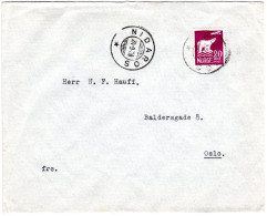 Norwegen 1930, 20 öre Nordpolflug Auf Brief M. Trondheim NIDAROS Stpl. - Storia Postale