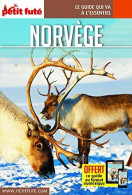 Guide Norvège 2019 Carnet Petit Futé - Altri & Non Classificati