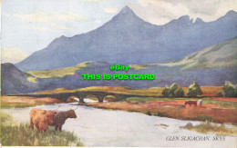 R606463 Glen Sligachan. Skye. Highlands. Series No. 77. Highlands And Islands Of - Monde