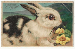 608 - Joyeuses Pâques - Lapin " En Relief" - Oeil Incrusté - Pasqua
