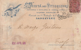 Italy. A208. San Severo 1898. Cartolina Postale PUBBLICITARIA  ... SOCIETA' DEI VITICOLTORI..... - Marcofilía