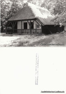 Ansichtskarte Graal-Müritz Sauna Im Assmann-Park 1955 - Graal-Müritz