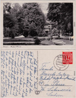 Weißer Hirsch Dresden Oberloschwitz Partie Im Park  - Restauration 1940 - Dresden