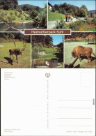 Suhl Heimattierpark: Teich, Teilansicht, Rothirsch, Höckerschwäne, Wisent 1984 - Autres & Non Classés