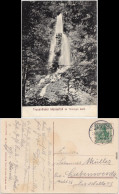 Brotterode Trusentahaler Wasserfall Ansichtskarte  1909 - Autres & Non Classés