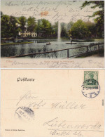 Zittau Partie Am Teich Weinaupark Ansichtskarte Oberlausitz  1906 - Zittau