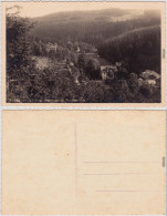 Bärenburg Altenberg (Erzgebirge) Blick Auf Die Schäfermühle 1930 - Altenberg