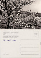 Prag Praha Baublüte - Blick Auf Die Stadt  Foto Anichtskarte 1965 - Tsjechië