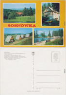 Seidorf Sosnówka Schwimmbad Ferienhäuser  1970 - Pologne