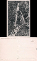 Ansichtskarte Brotterode-Trusetal Trusetaler Wasserfall 1955 - Altri & Non Classificati