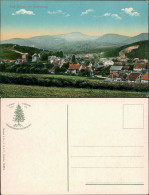 Ansichtskarte Bad Sachsa Panorama-Ansicht Mit Ravensberg 1913 - Bad Sachsa