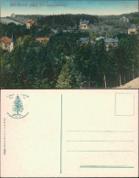 Ansichtskarte Bad Sachsa Blick Auf Den Ort Vom Pfaffenberg 1913 - Bad Sachsa