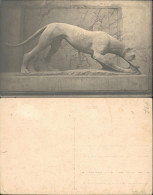 Ansichtskarte  Hund Skulptur 1920 - Skulpturen