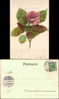 Ansichtskarte  Blumenstillleben - Rosafarbene Rose 1899 - Malerei & Gemälde