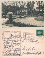 Ansichtskarte Wiesbaden Kurgarten Blühende Blumen 1930 - Wiesbaden