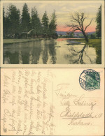 Ansichtskarte  Möwen über Flusslandschaft, Stempel: Westhofen Hessen 1912 - Ohne Zuordnung