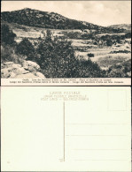 Postcard Haifa Lieu Du Sacrifice D'Elie Au Mt. Carmel 1915 - Israel