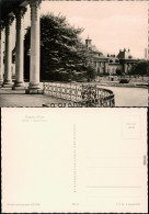 Ansichtskarte Pillnitz Schloss Pillnitz: Neues Palais 1960 - Pillnitz