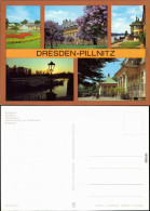 Pillnitz Bergpalais, Fliederhof, Wasserpalais,   Wasserpalais 1982 - Pillnitz