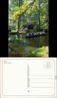 Ansichtskarte Lübben (Spreewald) Lubin (Błota) Spreewaldkahn 1995 - Lübben (Spreewald)