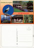 Ansichtskarte Lübbenau (Spreewald) Lubnjow Landschaftsgebiet: Spreewald 1995 - Altri & Non Classificati