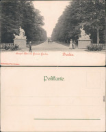 Ansichtskarte Dresden Großer Garten Mit Haupt-Allee 1930 - Dresden