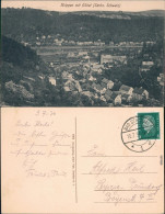 Ansichtskarte Krippen-Bad Schandau Panorama 1931 - Bad Schandau