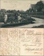 Ansichtskarte Chemnitz Rosarium Im Stadtpark 1918 - Chemnitz