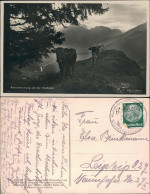 Ansichtskarte Oberstaufen Abendstimmung Auf Der Hochalpe, Kühe 1934 - Oberstaufen