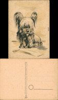 Ansichtskarte  Künstlerkarte V. Fieber - Hund 1930 - Malerei & Gemälde