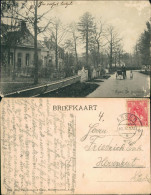 Postkaart Assen De Beilerstraat - Villen 1910  - Otros & Sin Clasificación