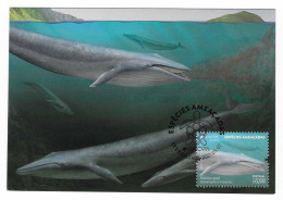 Portugal / Acores  2021 , EUROPA CEPT National Gefährdete Wildtiere - Maximum Card - CTT P.Delgada 2021.05.07 - 2021