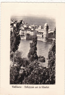 66. COLLIOURE . CPA. ECHAPPEE SUR LE CLOCHER. + TEXTE ANNEE 1974 - Collioure