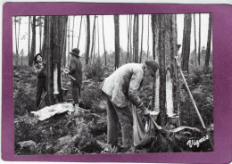 40 LES LANDES D'AUTREFOIS Lou BAREUSCOT Raclage Des Carres Au Début De L'Hiver   Cliché Émile VIGNES - Otros & Sin Clasificación