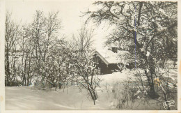 Place To Identify Winter Countryside Scenery - Da Identificare