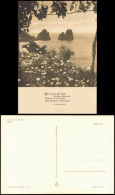 Ansichtskarte  Blühende Blumen Felsen Im Meer Stimmungsbild Natur 1966 - Unclassified