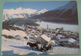 St. Moritz (GR) - Winter Pferdekutschenfahrt - Sankt Moritz
